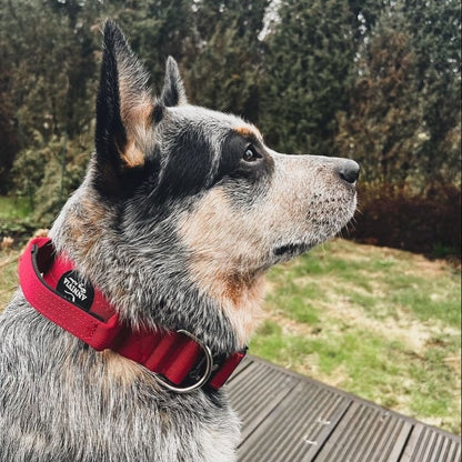 Taktiskā kakla siksna tumši sarkana, skats no sāniem