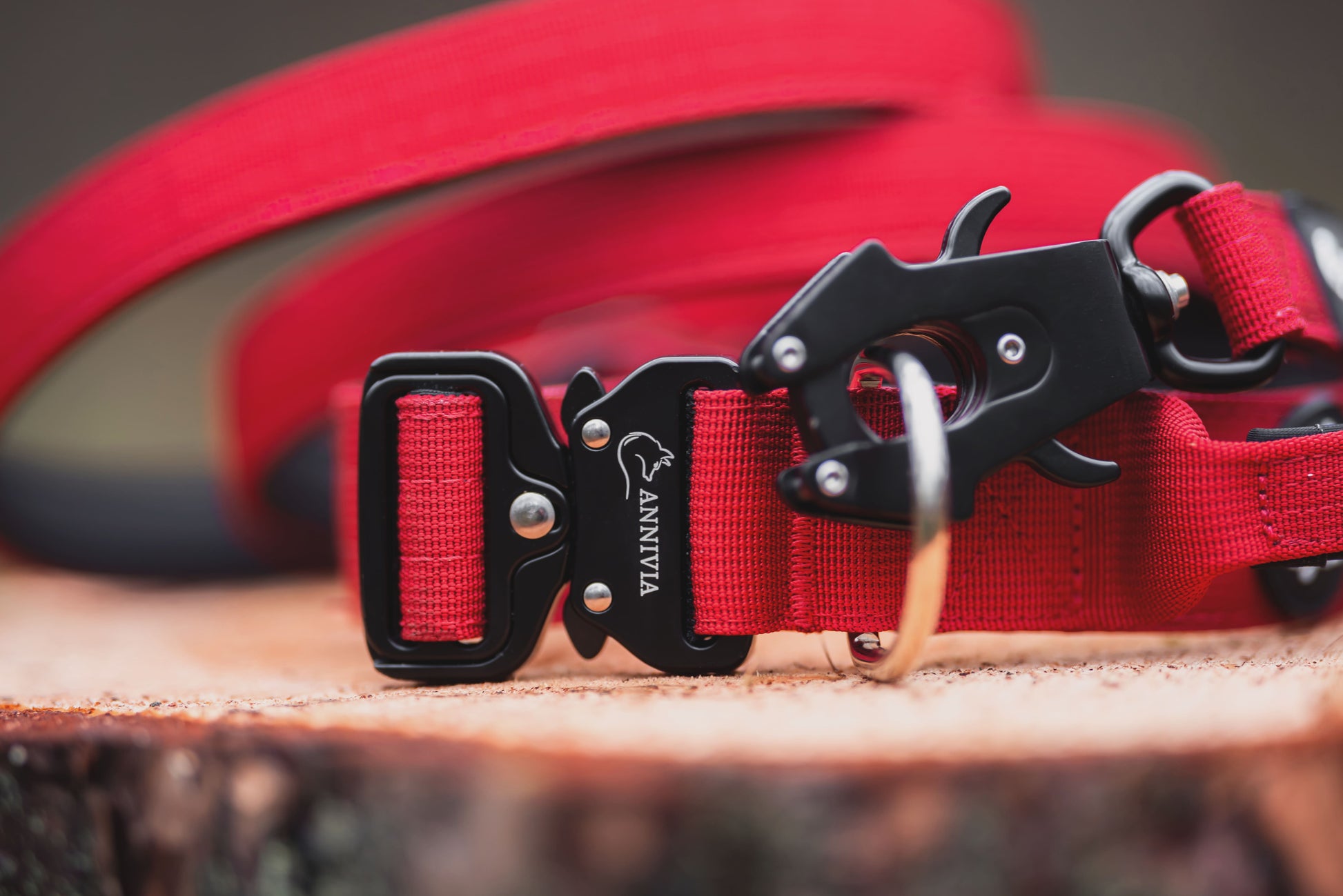 Taktiskā kakla siksna tumši sarkana, produkta foto ar neoprēna polsterējumu