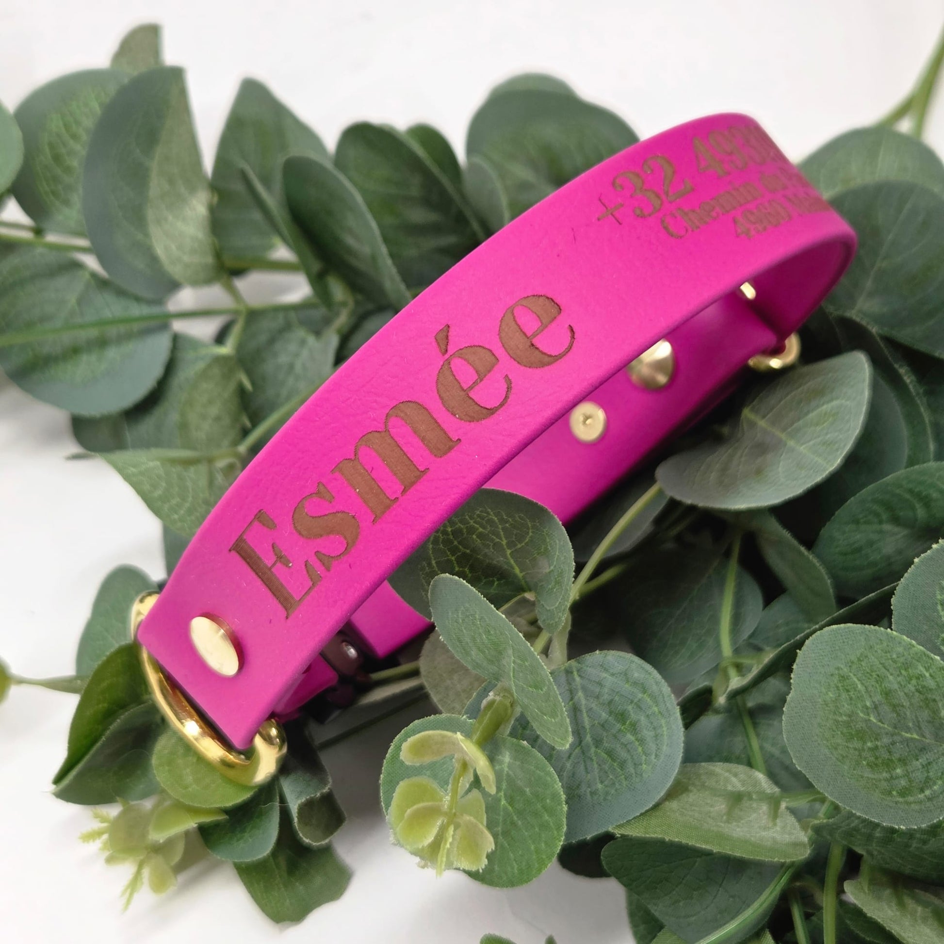 Lāzergravēšana uz BioThane suņa kakla siksnas