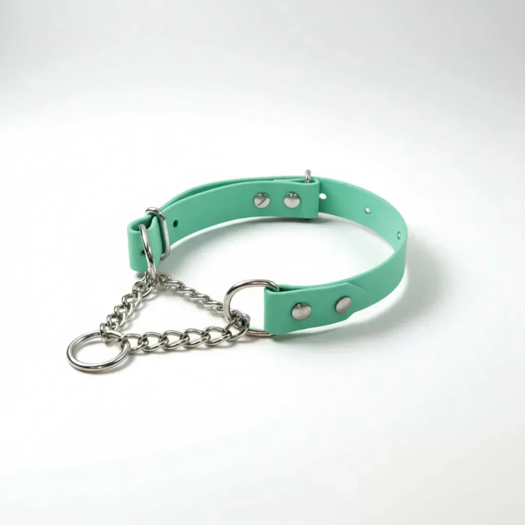 Martingeila Suņu Kakla Siksna - Caribbean Green