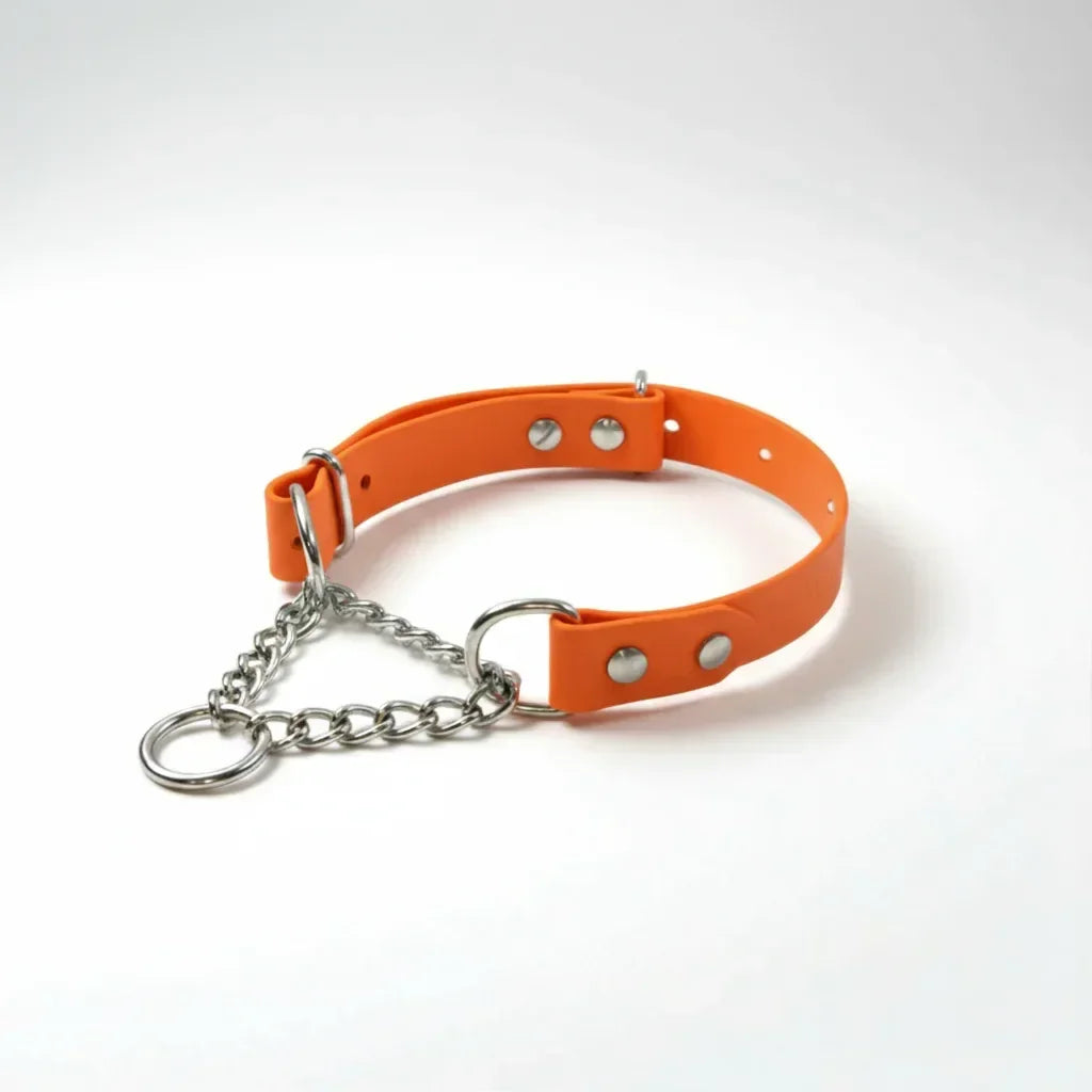 Martingeila Suņu Kakla Siksna - Orange