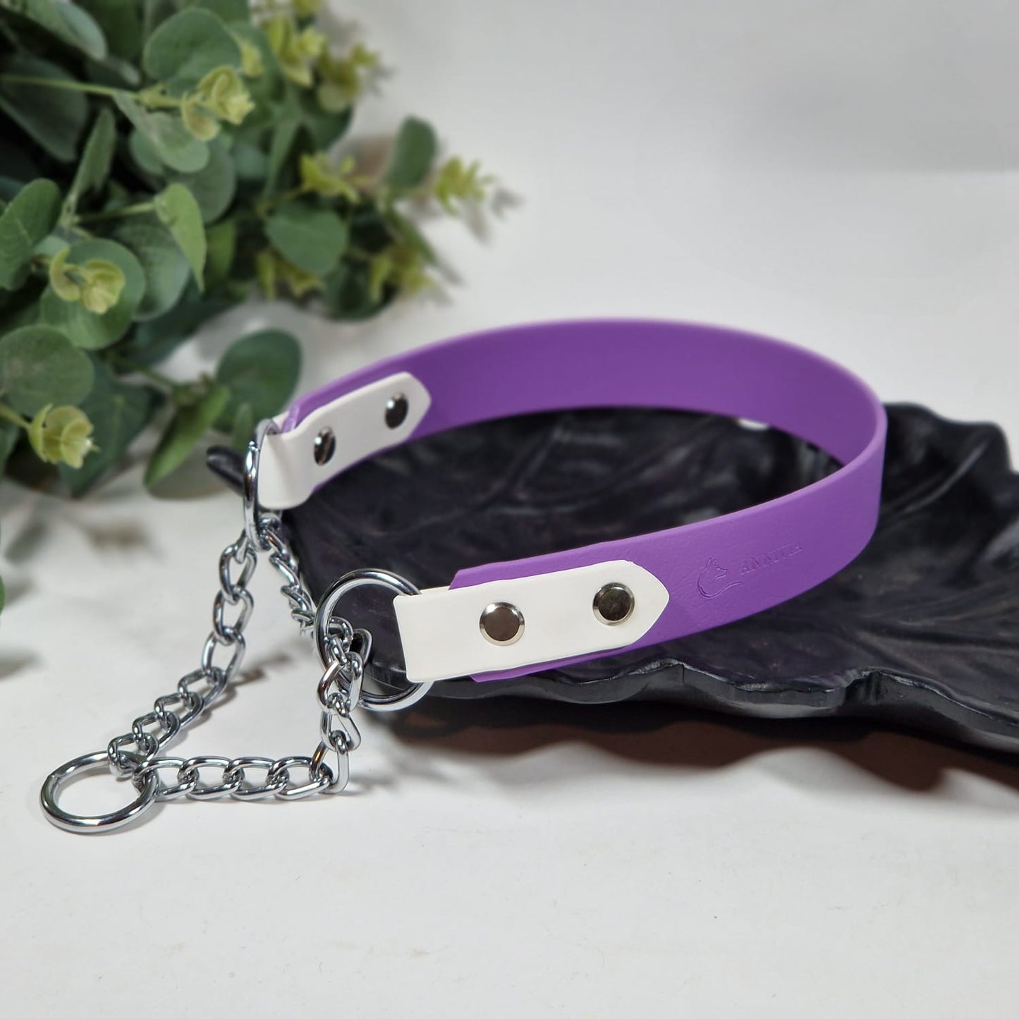 Biothane  suņu kakla siksna ar martingeila ķēdīti