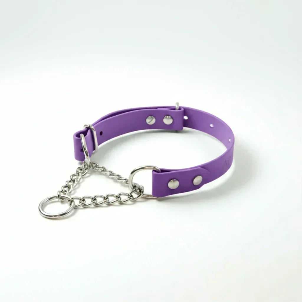 Martingeila Suņu Kakla Siksna - Orchid