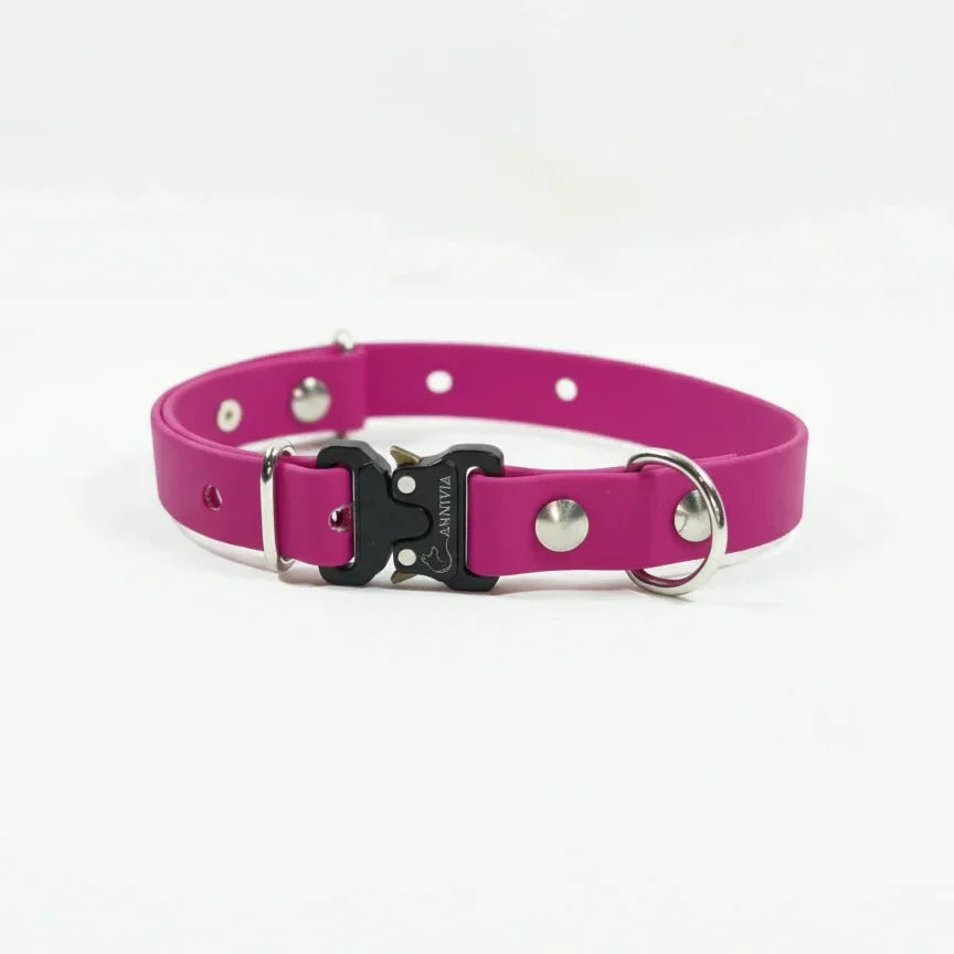 Mini Elegance kaklasiksna suņiem, magenta