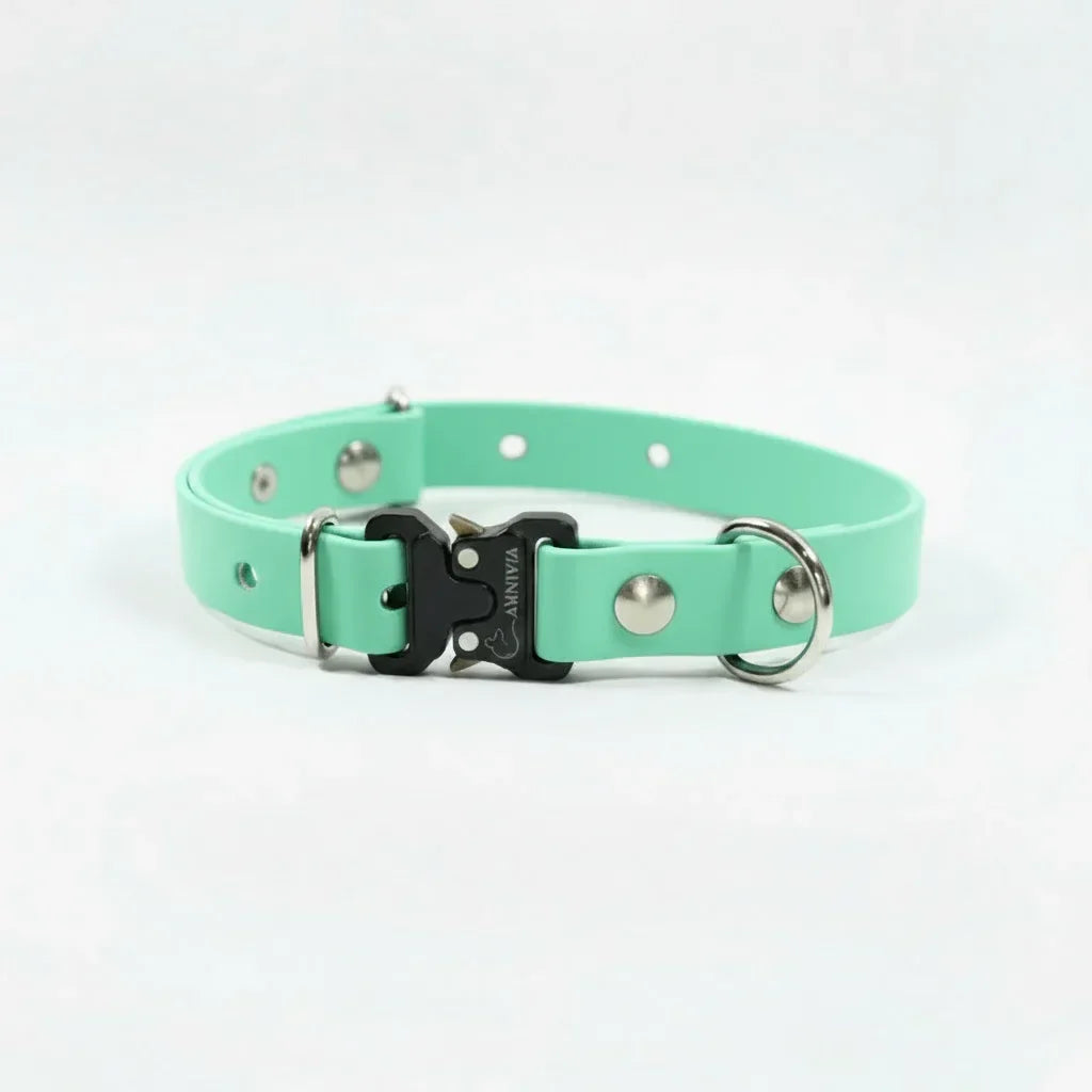 Mini Elegance suņu kakla siksna - Caribbean Green