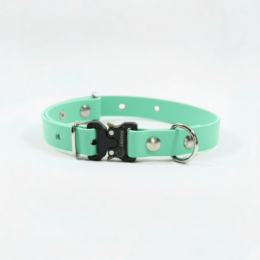 Mini Elegance suņu kakla siksna - Caribbean Green