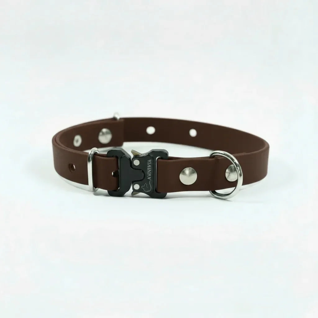 Mini Elegance suņu kakla siksna - Dark Brown