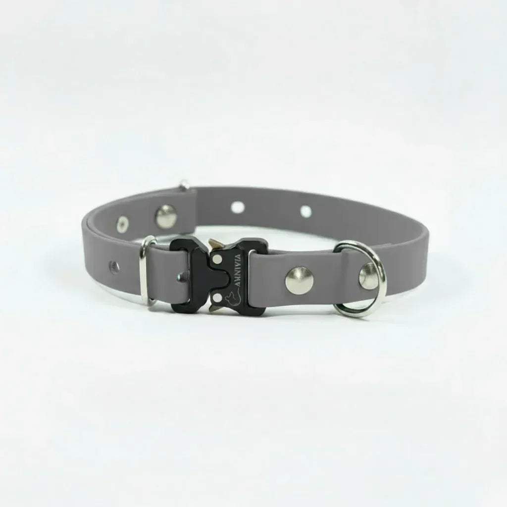 Mini Elegance suņu kakla siksna - Grey