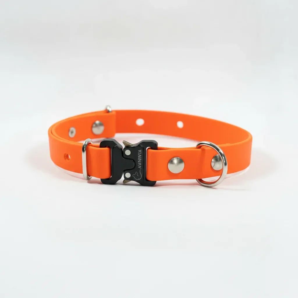 Mini Elegance suņu kakla siksna - Orange