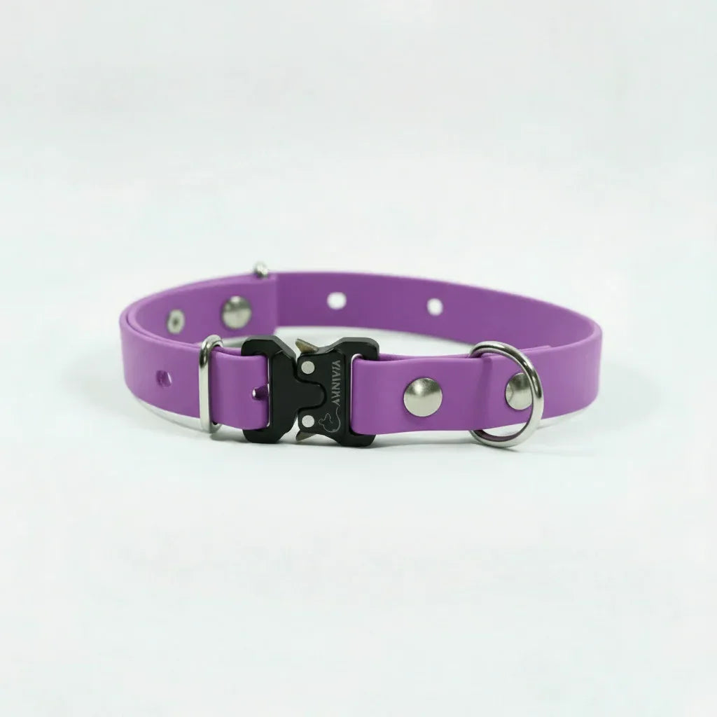 Mini Elegance suņu kakla siksna - Orchid