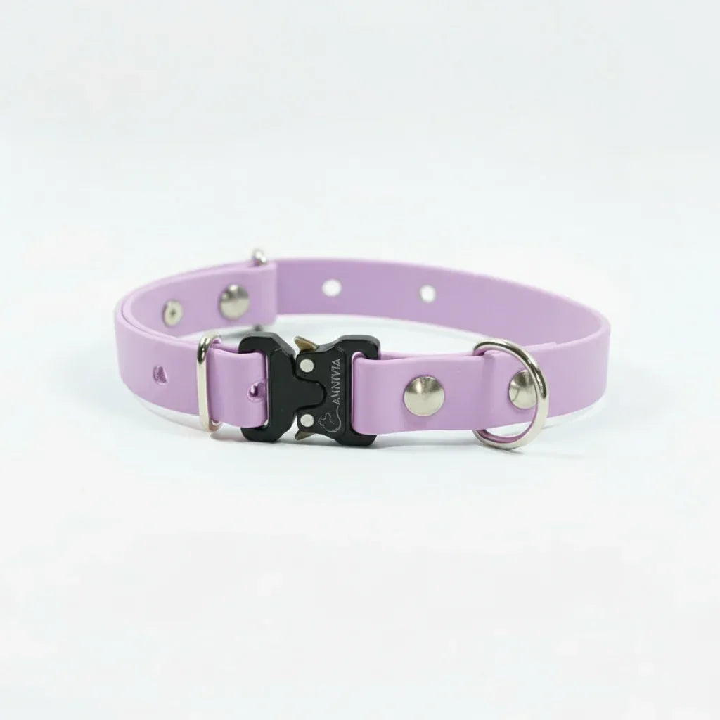 Mini Elegance suņu kakla siksna - Pastel Purple