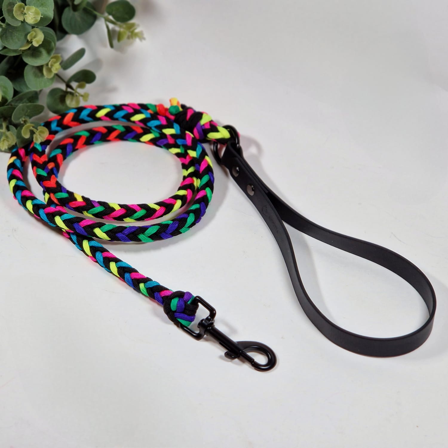 Parakorda pīta pavada varavīksnes ktāsā