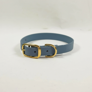 Pelēkzila kaklasiksna