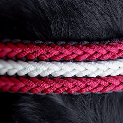 Pīta kakla siksna ar Latvijas simboliku, detaļu skats
