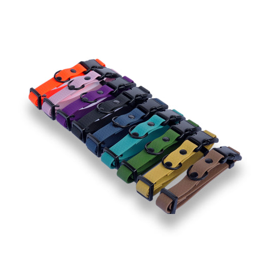 Hexa Light Waterproof dog collar - Color choice