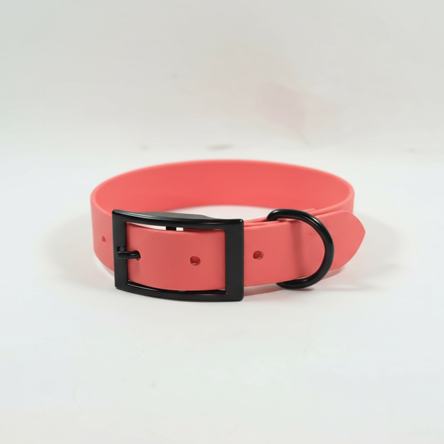 Koraļļu rozā kaklasiksna