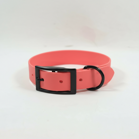 Koraļļu rozā kaklasiksna