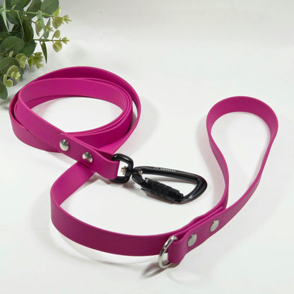 BioThane Sudraba Elegance Suņu Pavada 19mm - Krāsu un Karabīņu Izvēle