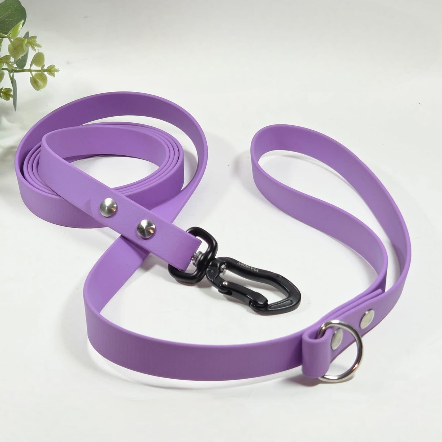 BioThane Sudraba Elegance Suņu Pavada 19mm - Krāsu un Karabīņu Izvēle