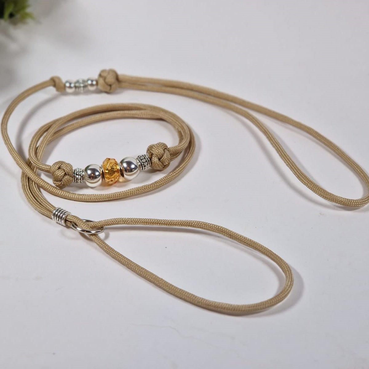 Suņu izstāžu pavada bēšā krāsā, savelkošais stils