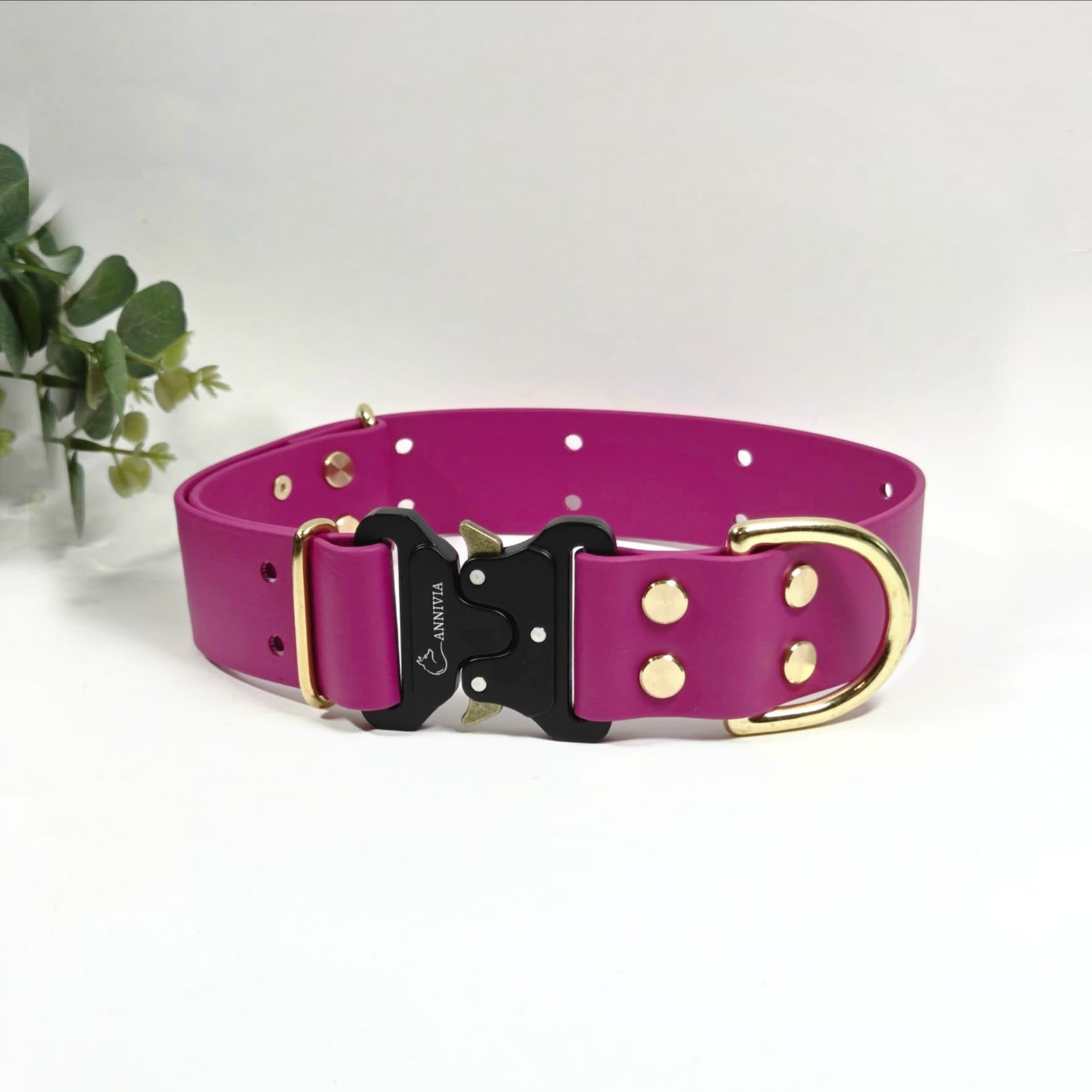 Biothane zelta Elegance suņu kakla siksna 38 mm plata, magenta krāsa.