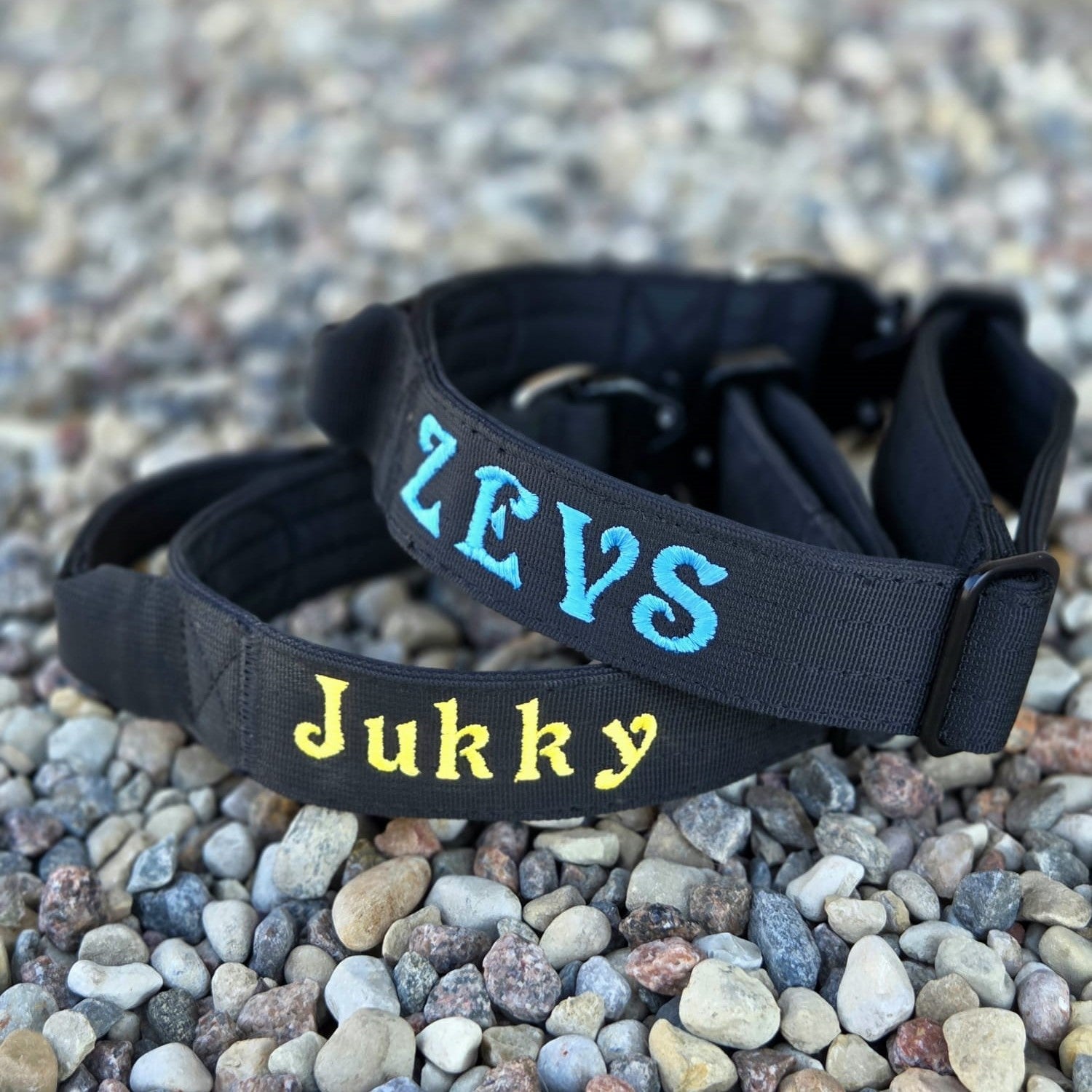 Suņu kakla siksna ar izšūšanu