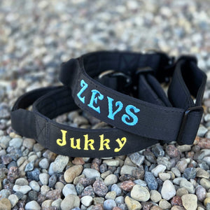 Suņu kakla siksna ar izšūšanu