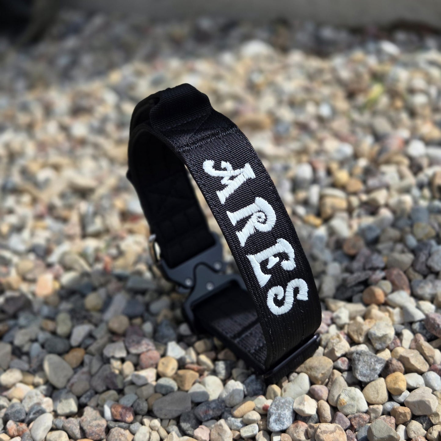 Suņu kakla siksna ar izšūšanu