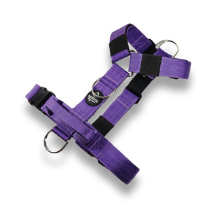 Comfort line suņu krūšu siksna violeta krāsa