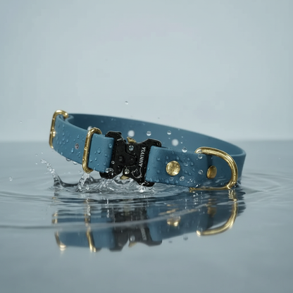 Zelta Elegance Kakla Siksna Ūdens Peļķē