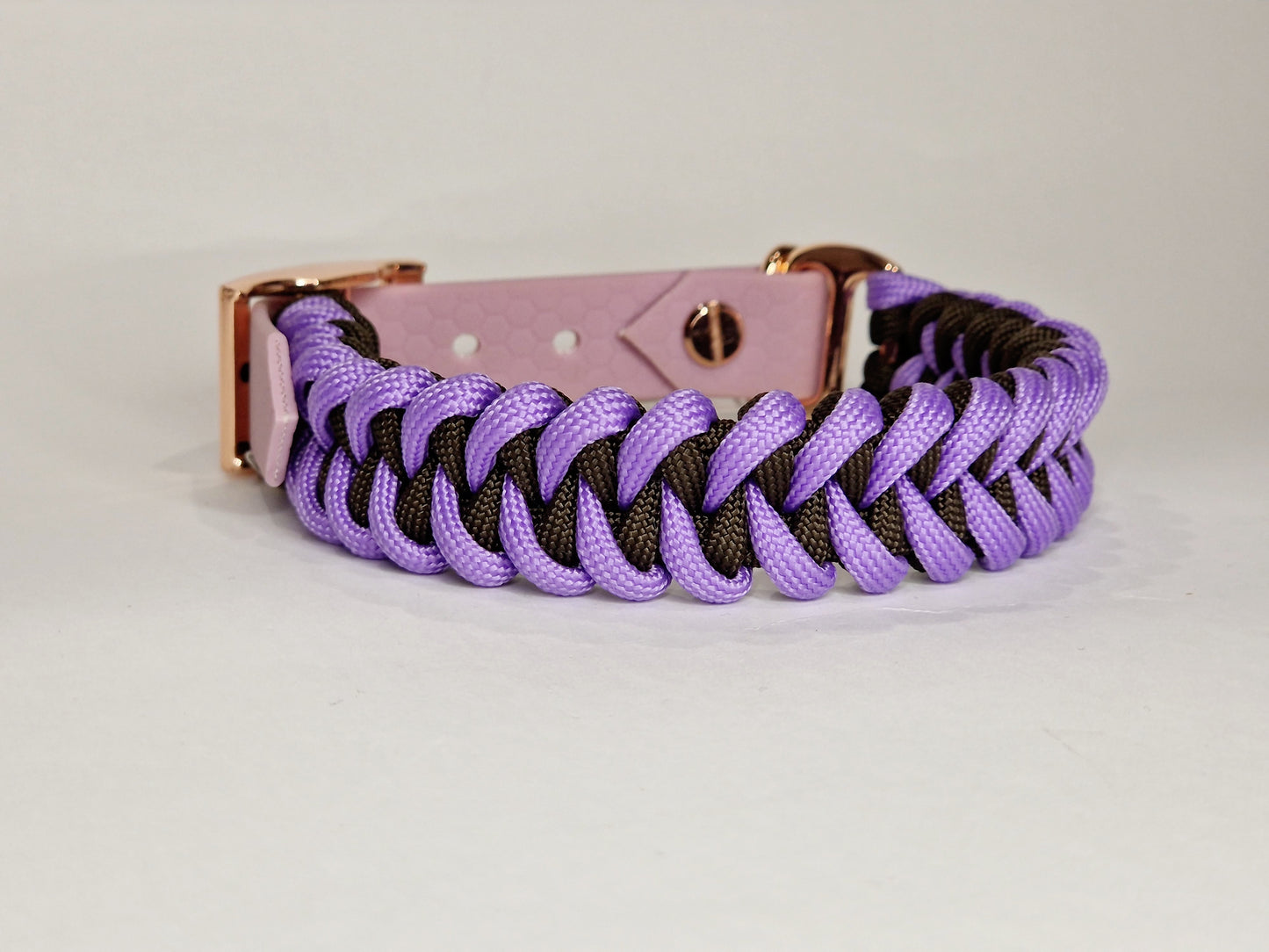 Honey dog collar - Custom Order