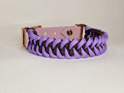 Honey dog collar - Custom Order