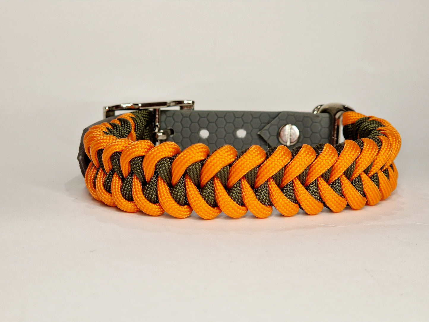 Honey dog collar - Custom Order
