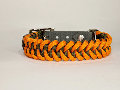 Honey dog collar - Custom Order