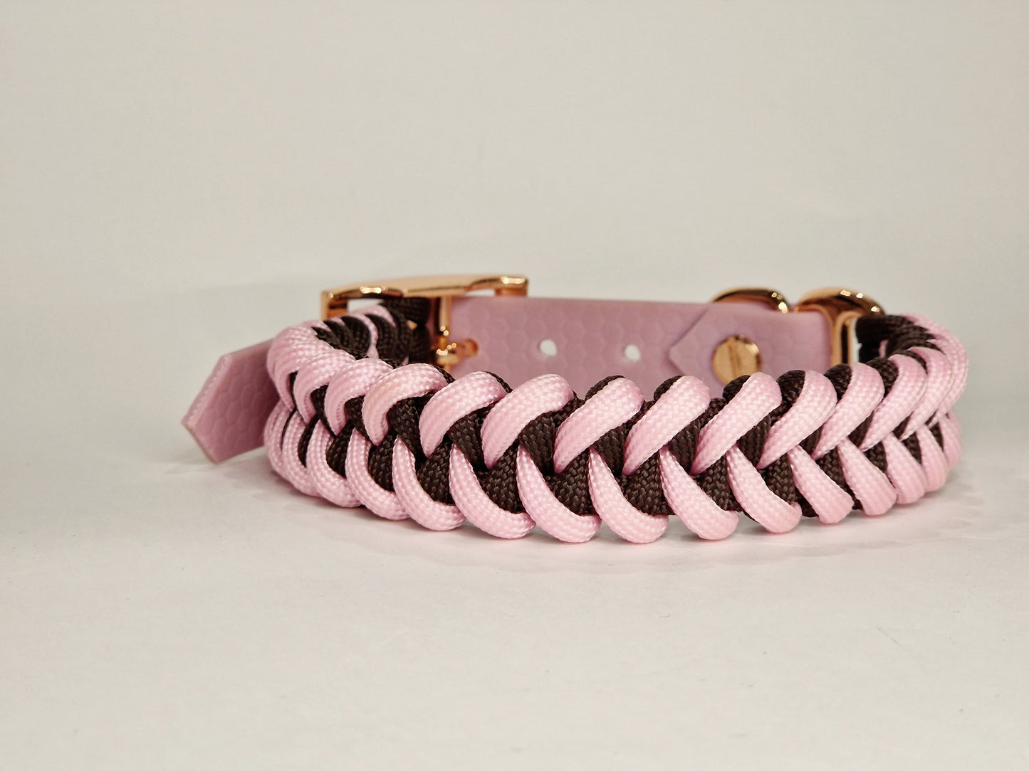Honey dog collar - Custom Order