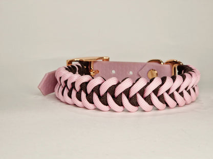 Honey dog collar - Custom Order