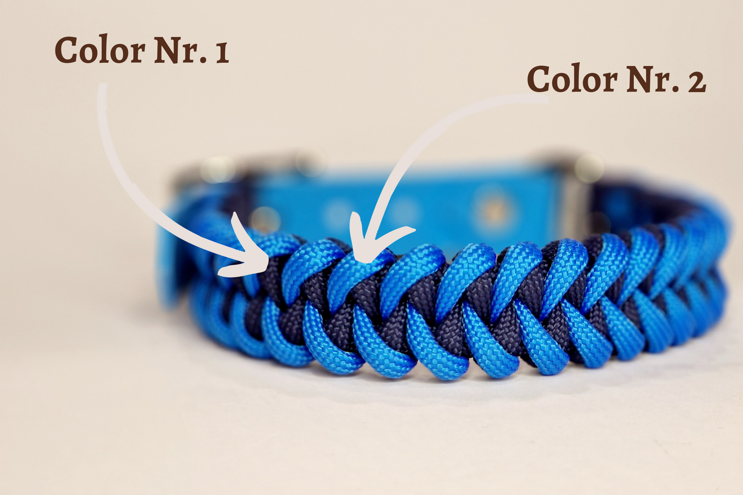 Honey dog collar - Custom Order